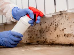 Best Asbestos and Lead Testing During Mold Inspection  in Bear, DE